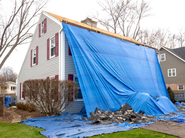 Demolition Debris Removal in South Holland, IL